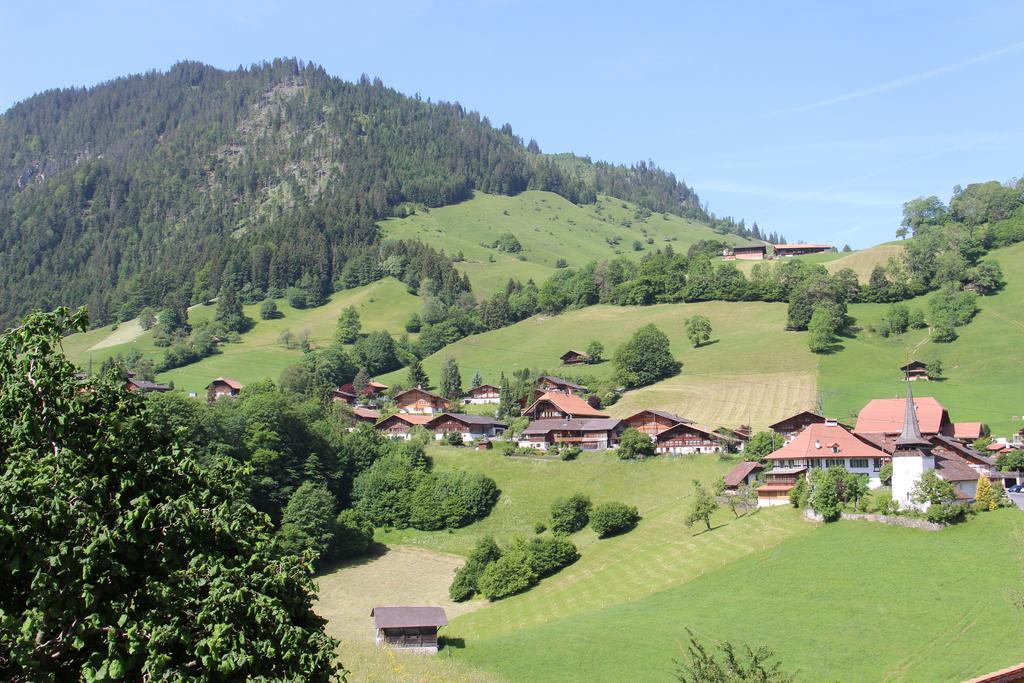 Chalet Park Apartment Mit Sauna Hamam Diemtigen Bilik gambar