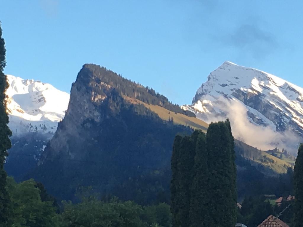 Chalet Park Apartment Mit Sauna Hamam Diemtigen Luaran gambar