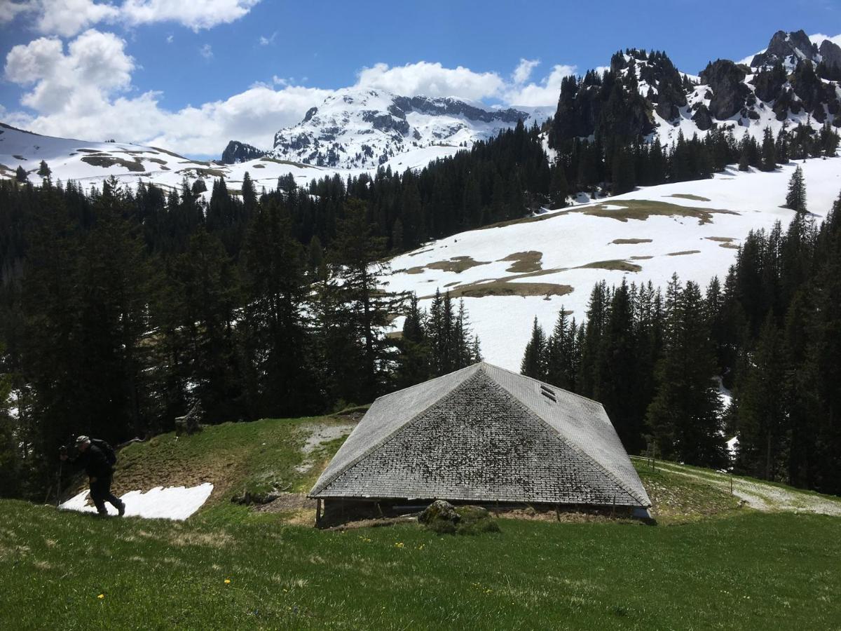 Chalet Park Apartment Mit Sauna Hamam Diemtigen Luaran gambar