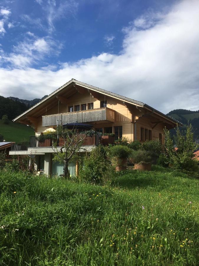 Chalet Park Apartment Mit Sauna Hamam Diemtigen Luaran gambar
